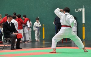 Karate Txapelketa Jostaldi