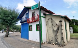 Txirrinda proiektuko etxetxoa