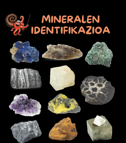LUBERRI MUSEOko MINERALEN IDENTIFIKAZIO TAILERerako familia gonbidapena