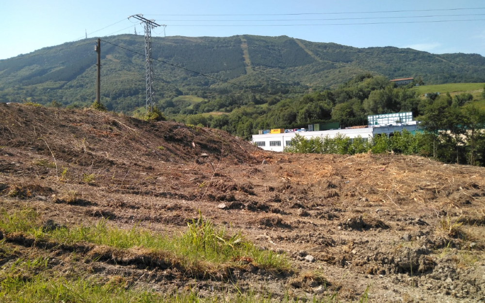 Zaldunborda